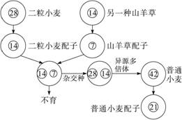 我国有黑麦期货吗